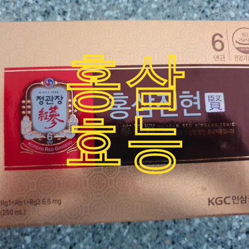 홍삼 효능