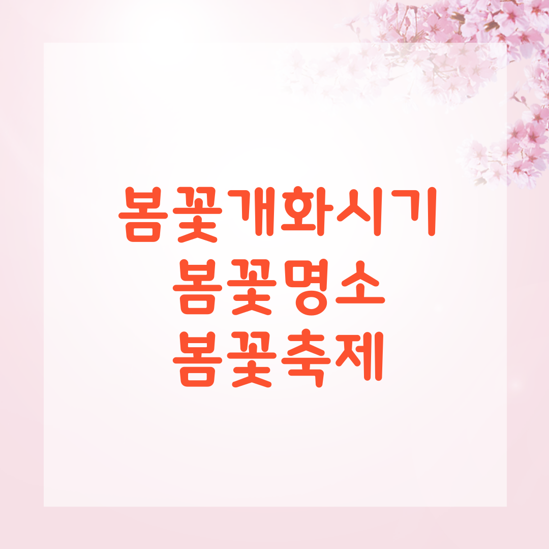 봄꽃시기와 축제 썸네일