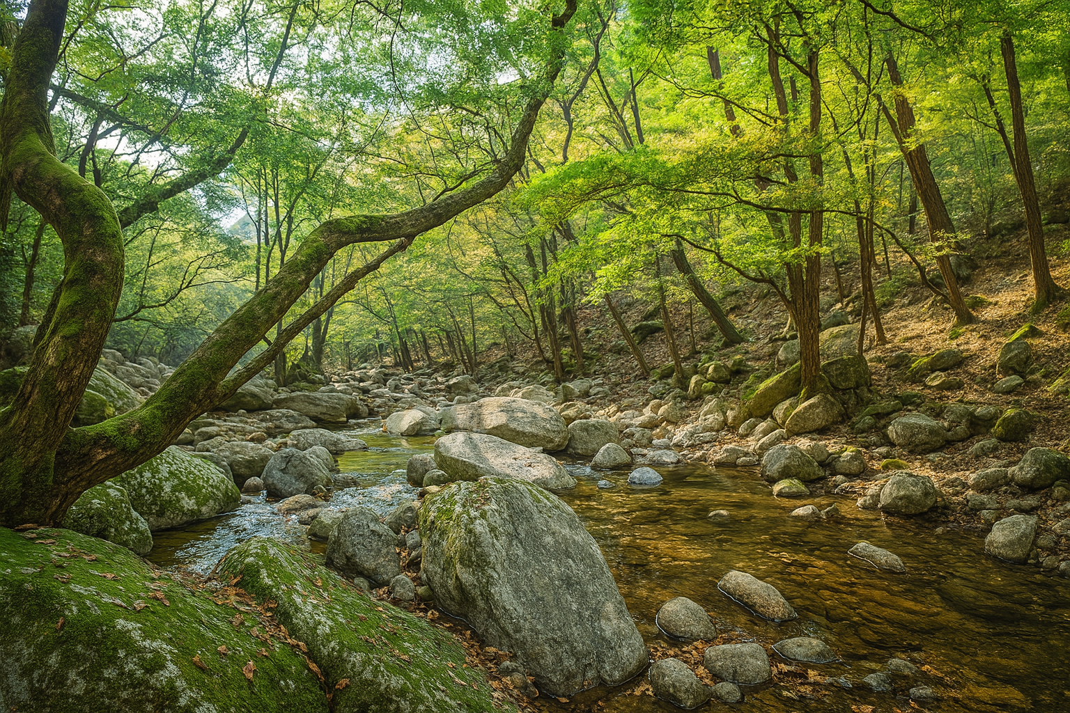 가평 유명산자연휴양림