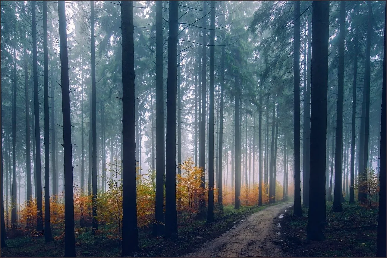 등기부등본 발급 어디서