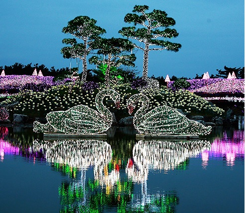 태안빛축제 포토존