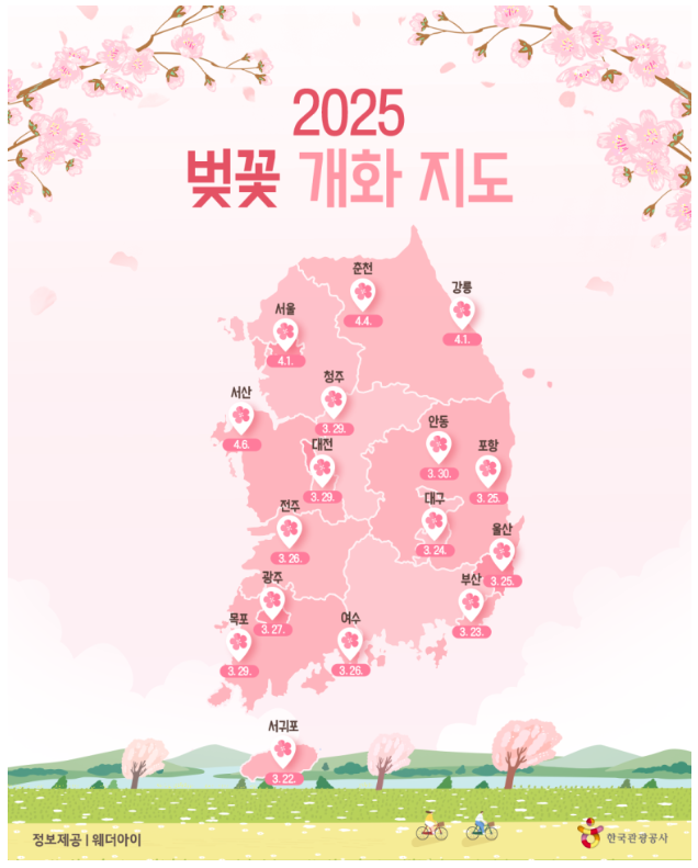 2025년 벚꽃 개화 시기