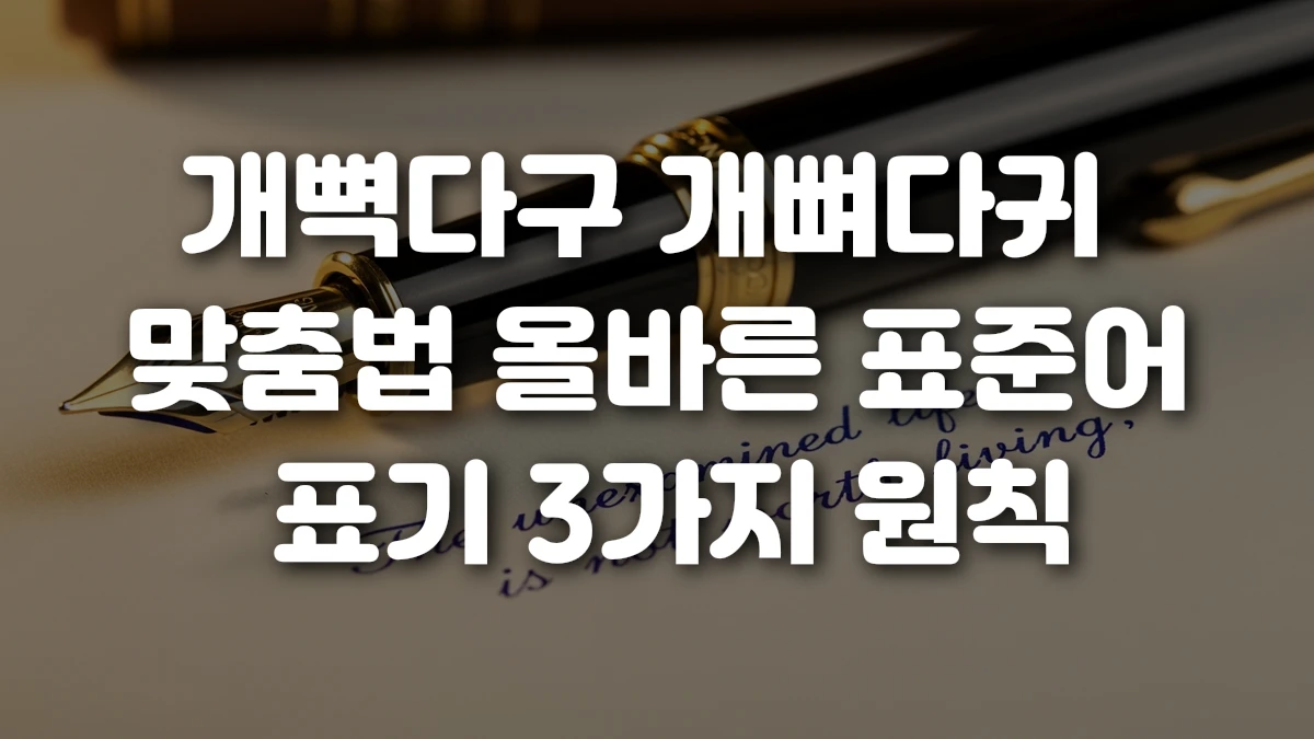 개뼉다구 개뼈다귀 맞춤법 올바른 표준어 표기 3가지 원칙