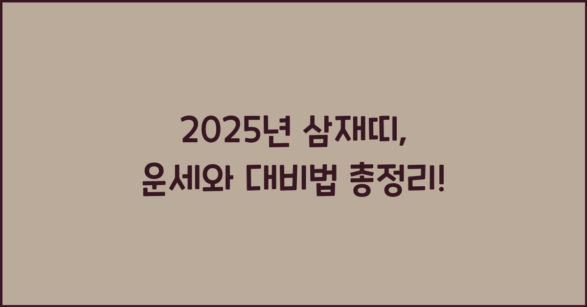 2025년 삼재띠