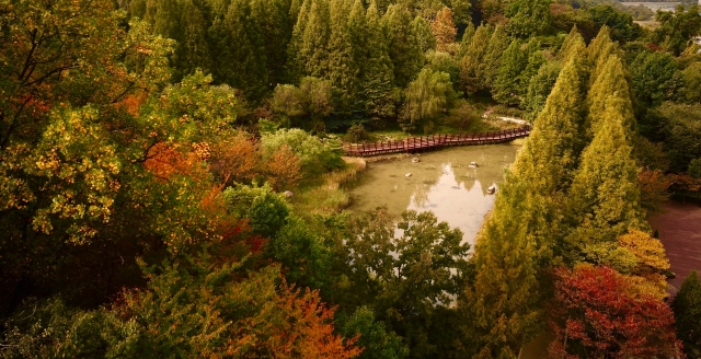 [경기도 가을여행지 추천] 가볼만한 오산 물향기수목원