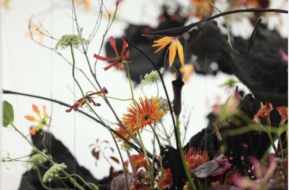 고양 국제꽃박람회