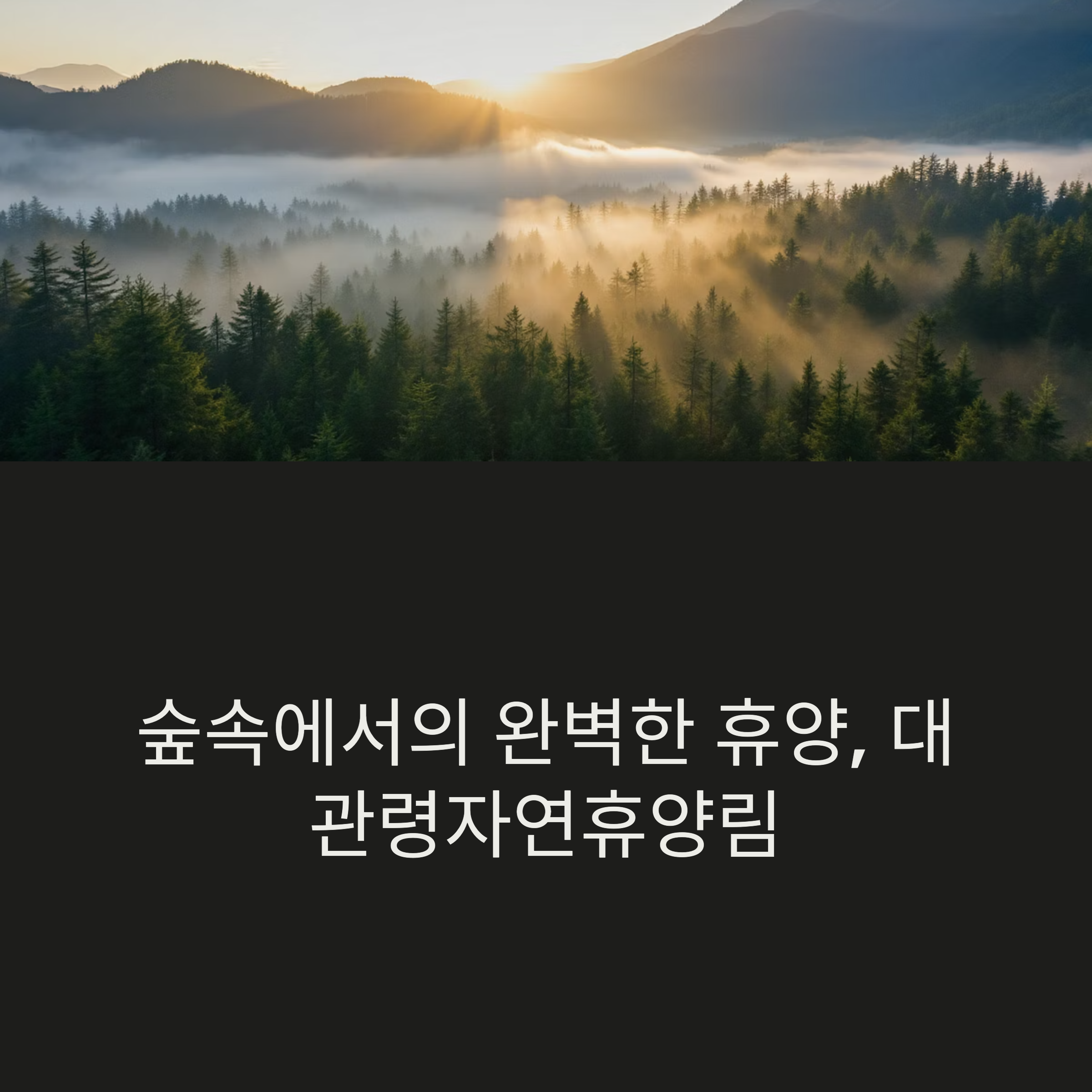 숙박 및 야영장