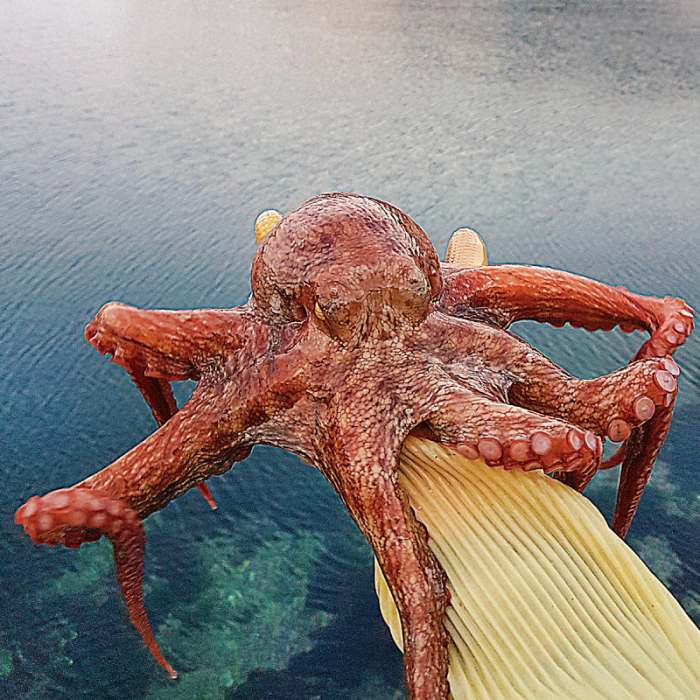 생방송오늘저녁 수산물 유통 50억 버는 청년 비법과 통영 제철 상품 전국 택배 온라인 주문 방법