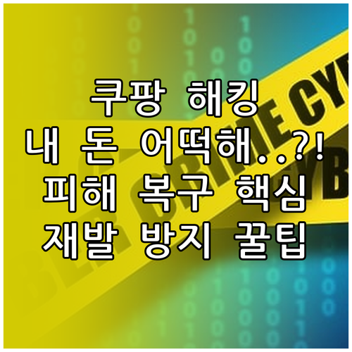 온라인 쇼핑 쿠팡 계정 해킹 시 피해..
