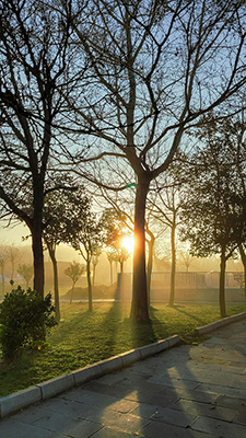 40대&amp;#44; 50대 여성 필수 비타민D 결핍 예방