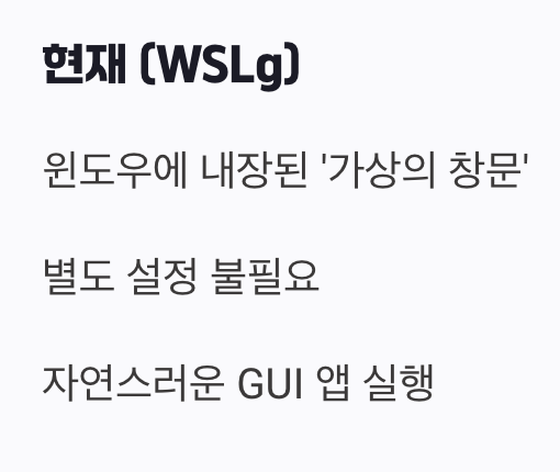 마법의 시작, WSLg의 등장