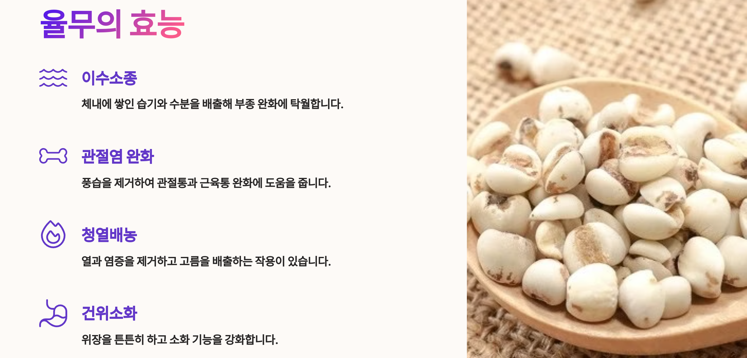의이인 효능