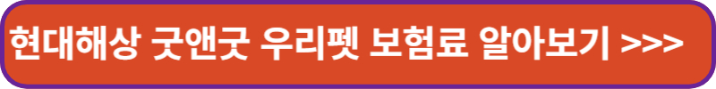 현대해상-굿앤굿-우리펫-보험료-알아보기-배너