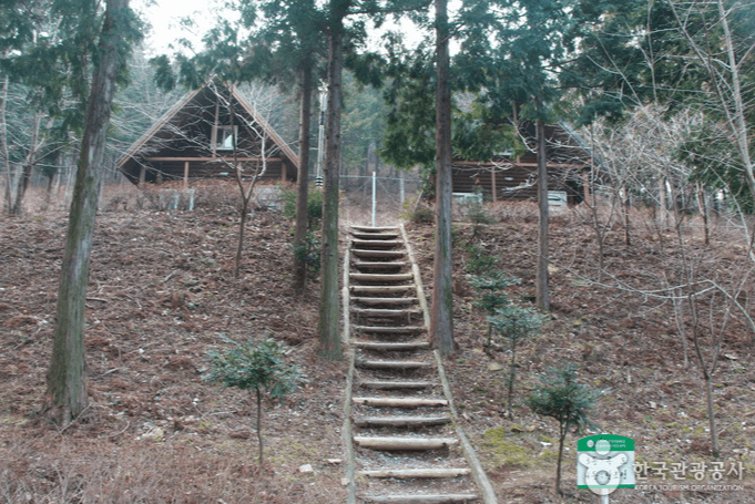 남해편백 자연휴양림