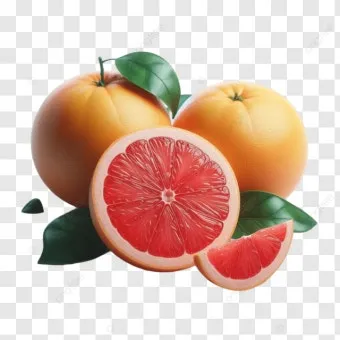 자몽 효능 부작용 칼로리_10