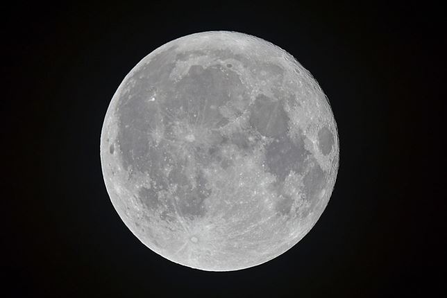 농축수산물 할인쿠폰 발급 및 사용방법