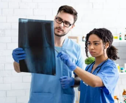 강아지 쌕쌕 켁켁거림, 혹시 천식? 보호자가 꼭 알아야 할 모든 것