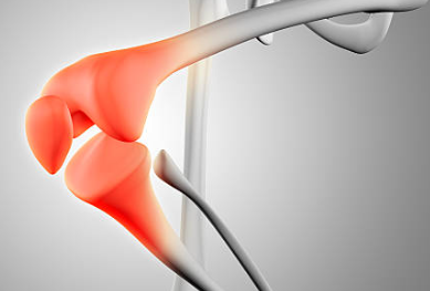 파래무침 만드는 법