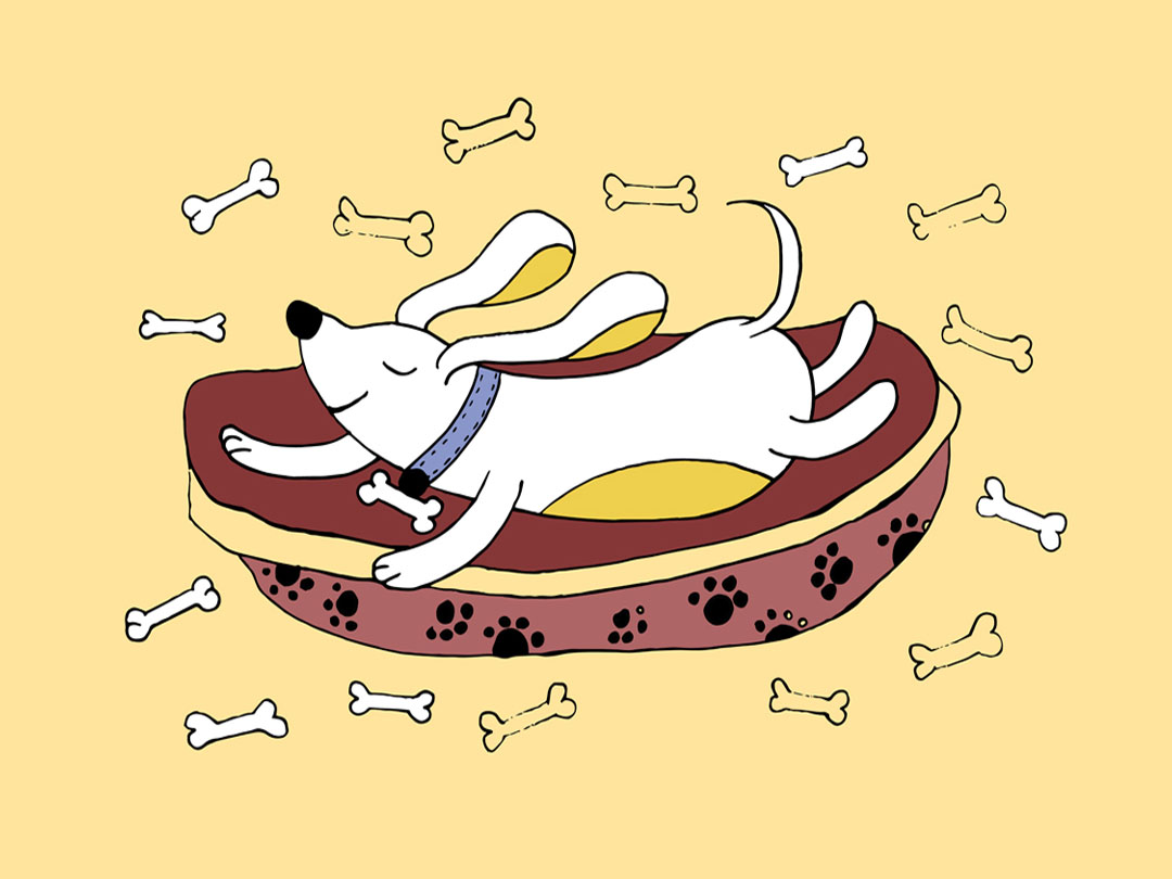 2026년 3월 2일 말씀 카드 성경구절 이미지 ❘ 주어라. 그러면 너희도 받을 것이다. 누르고 흔들어서 넘치도록 후하게 되어 너희 품에 담아 주실 것이다. (루카 6,38)