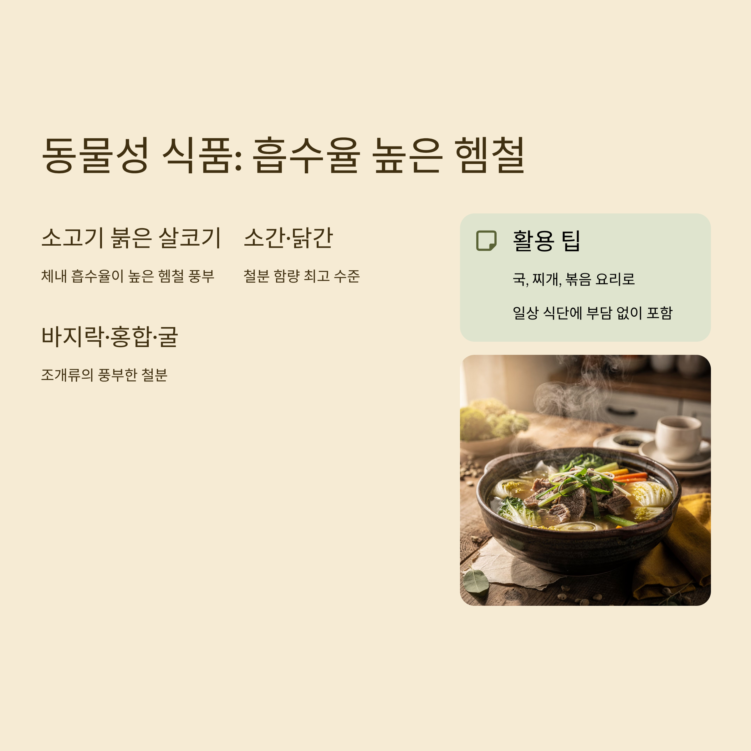 철분 많은 음식 동물성 식품