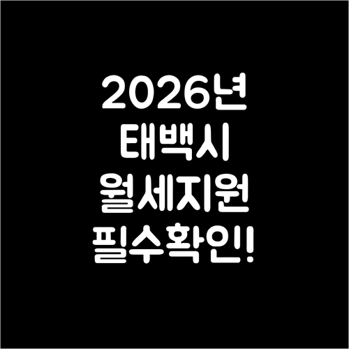 2026년 태백시 청년월세지원 신청 ..
