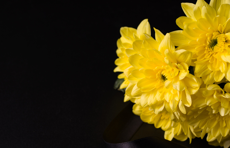 장례관련 사진 이미지