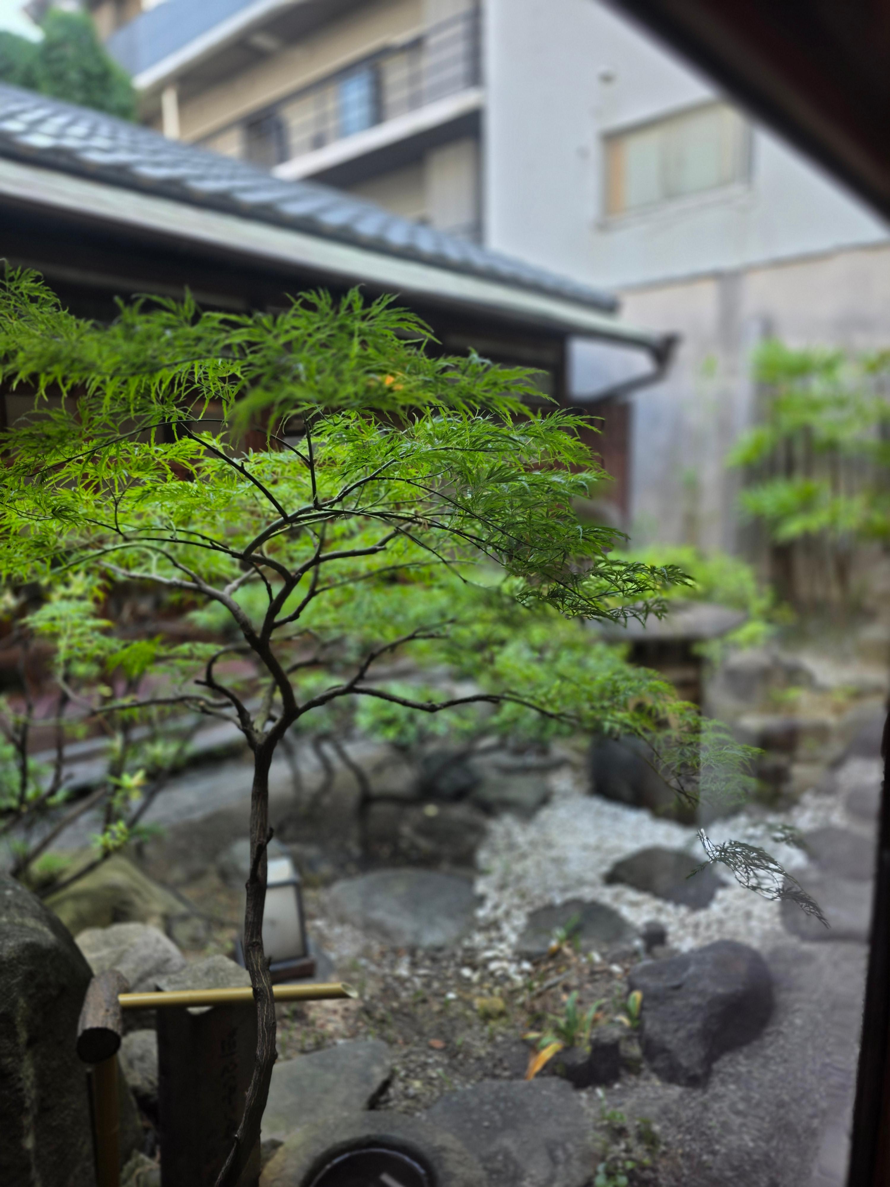 신사이바시맛집 도톤보리맛집 오므라이스맛집