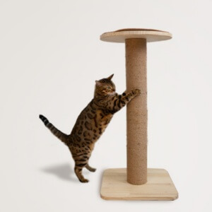 2023 반려인 능력시험