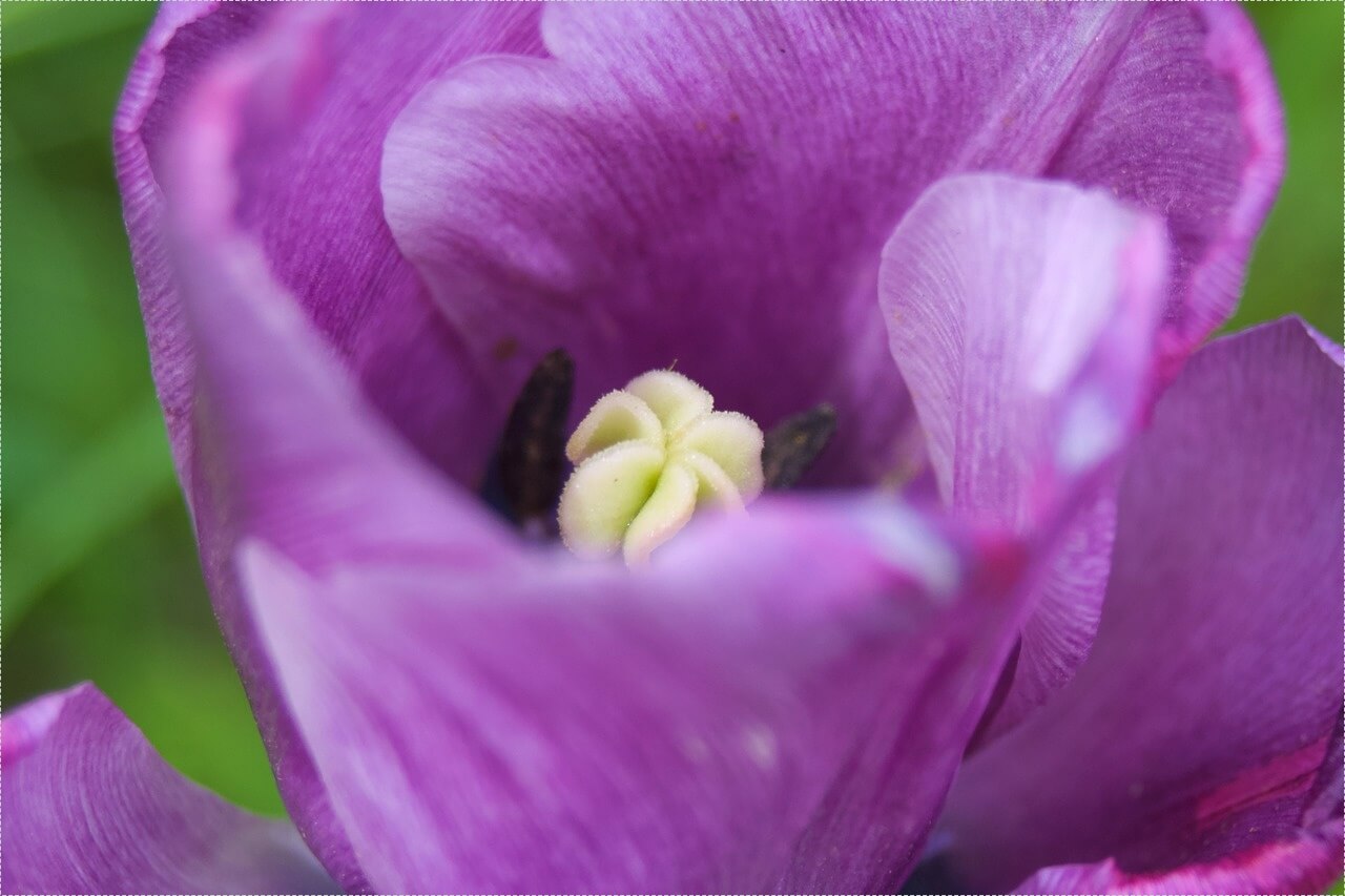 하나은행 정기예금 금리