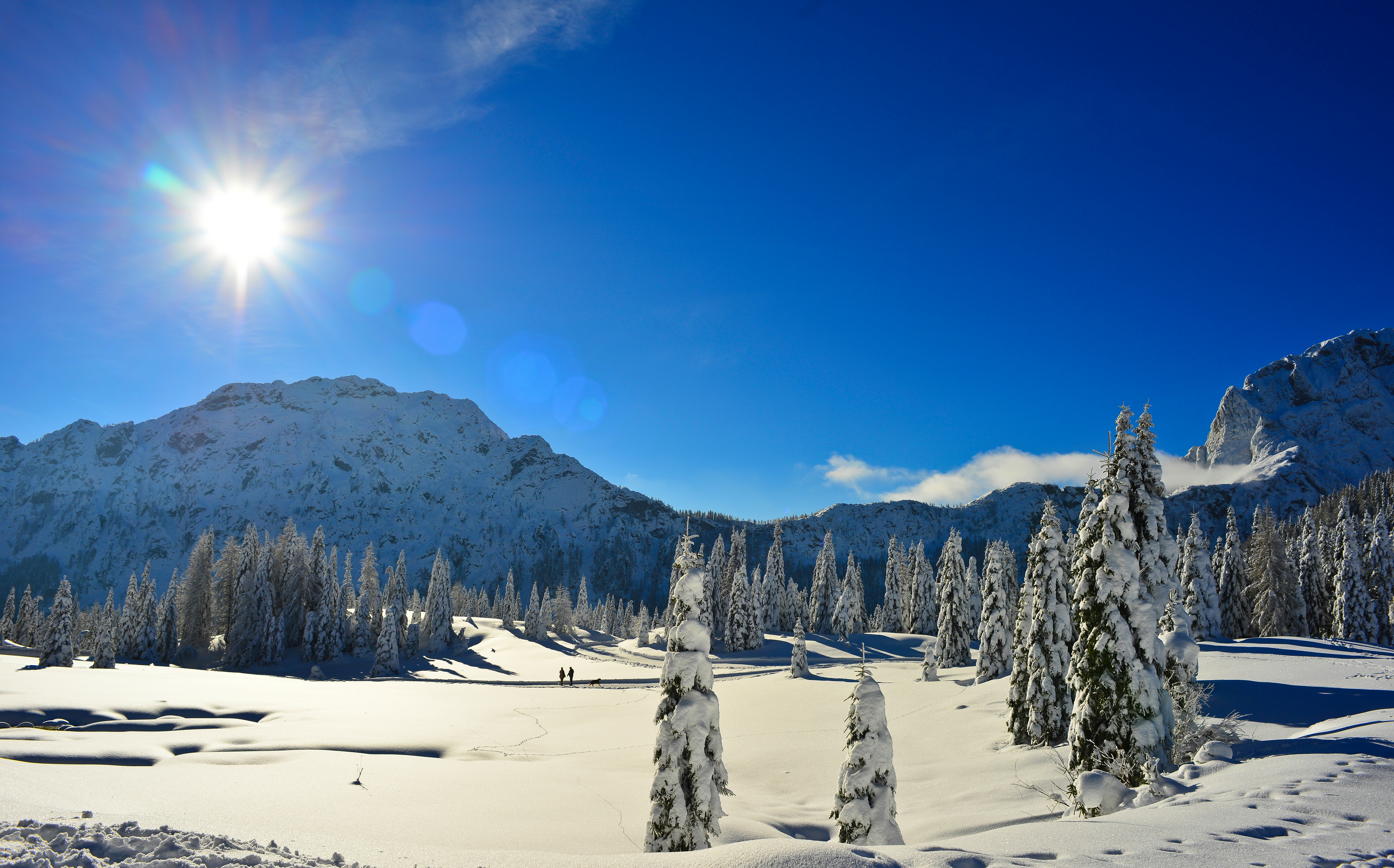 snowy mountain landscape with soft sunlight 관련 사진