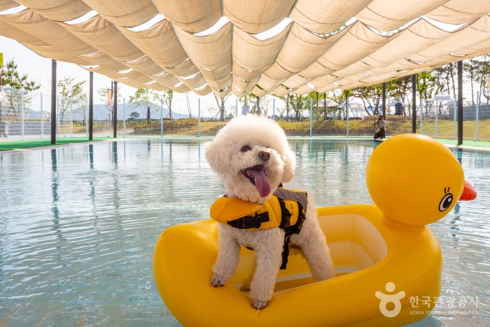 의성 가볼만한곳 베스트10