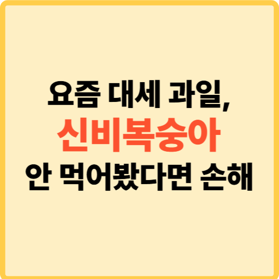 신비복숭아 완전 정리|달콤함·영양·보관법 한눈에