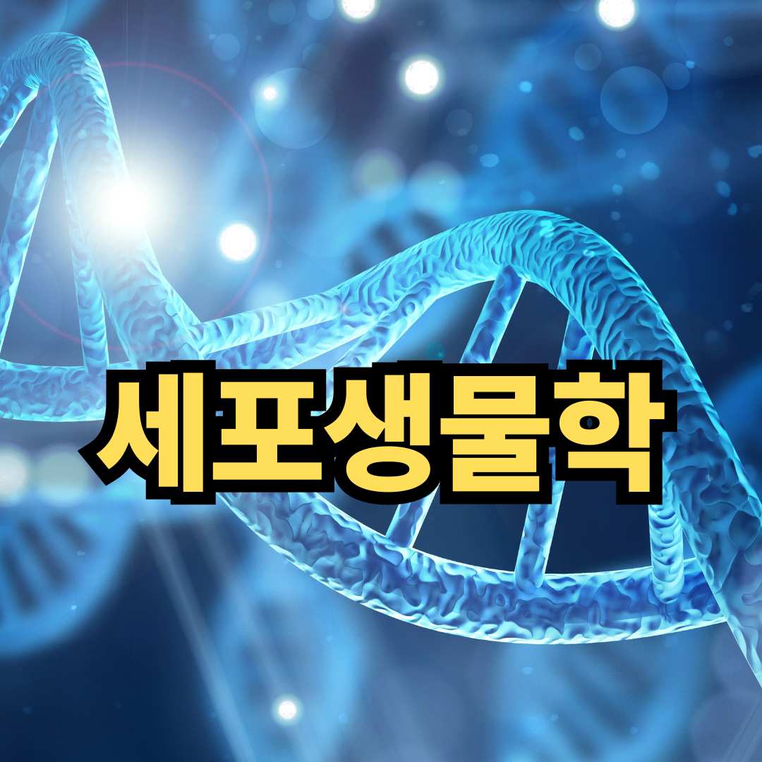 세포생물학