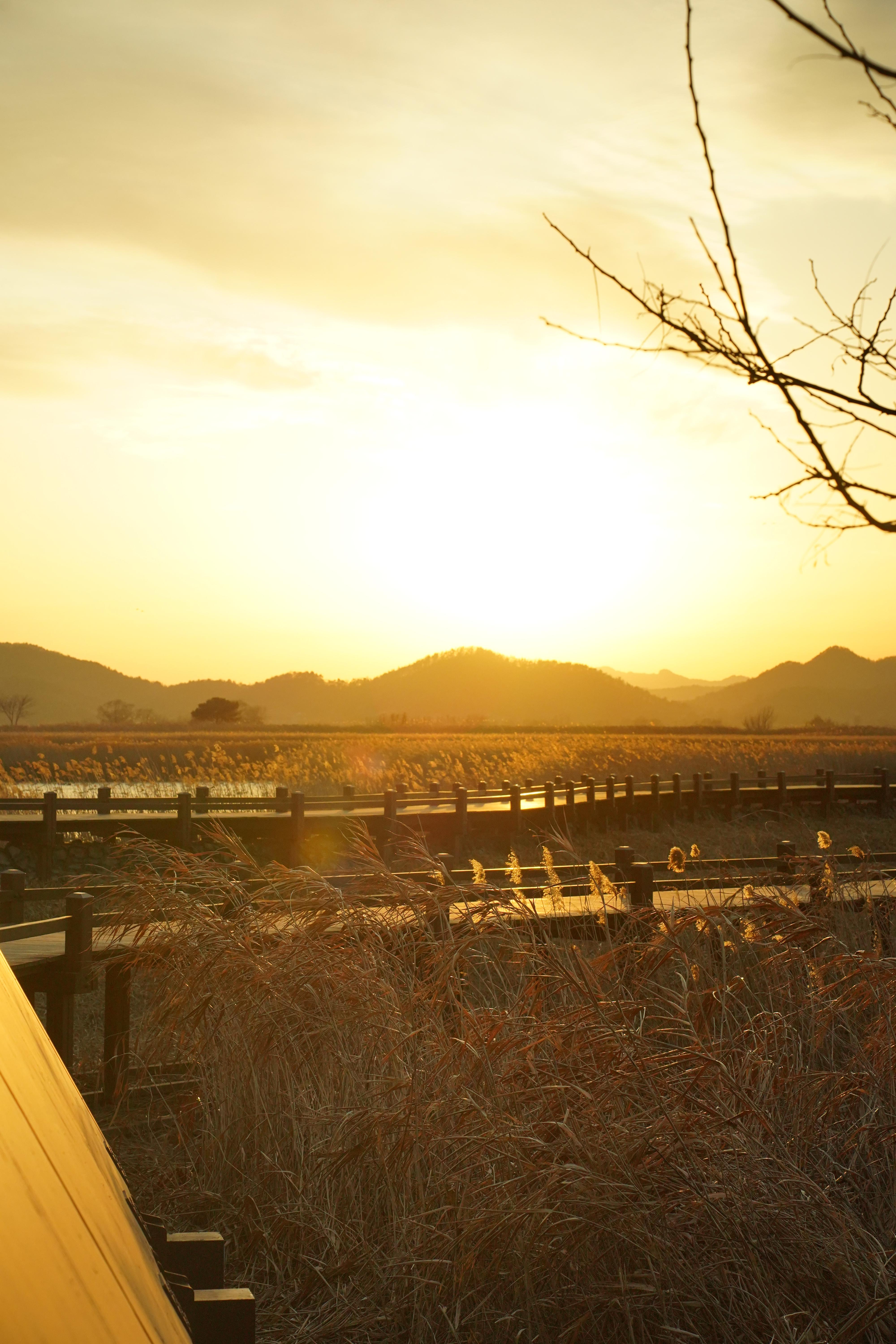 용산 전망대 사진 3