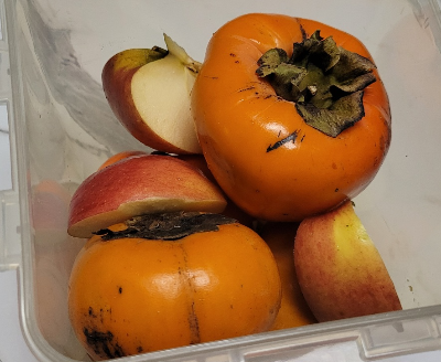 떫은 감 먹는 법 - 사과 이용하기