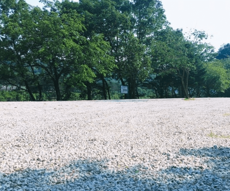 경기-포천-송가네-오가리-캠핑장-사진-입니다.