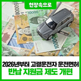 운전면허 반납 지원금