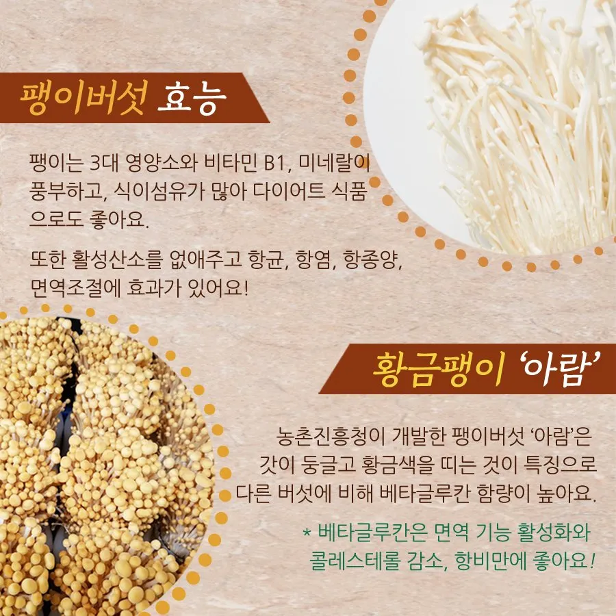 팽이버섯 효능_3