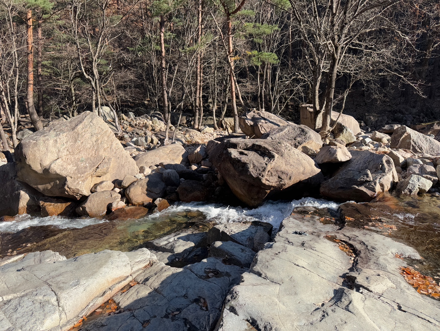 설악산 신흥사