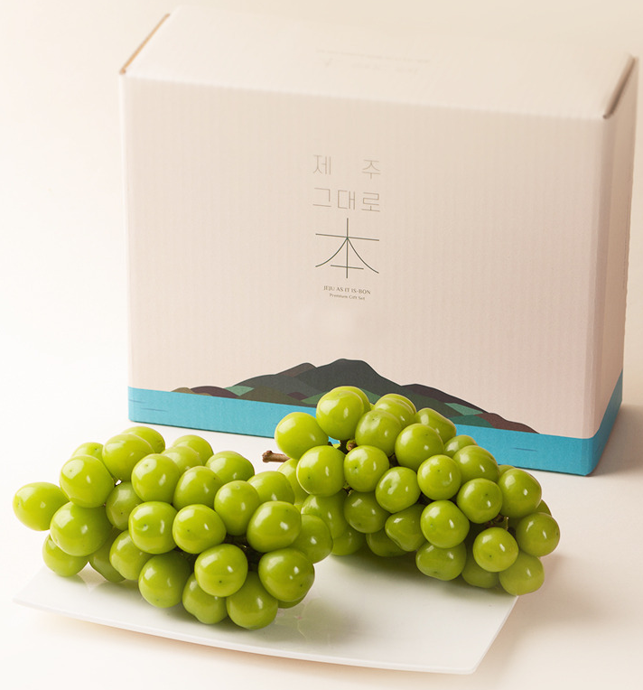 탐라왕 샤인머스캣