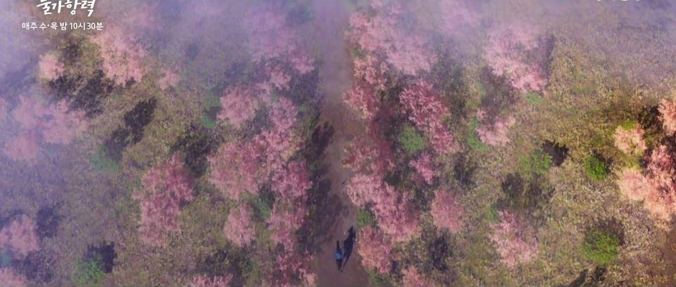 이연애는불가항력_9회