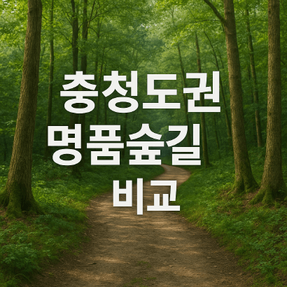 역사와 치유, 체험이 어우러진 충청도권 명품숲길 7곳 총정리