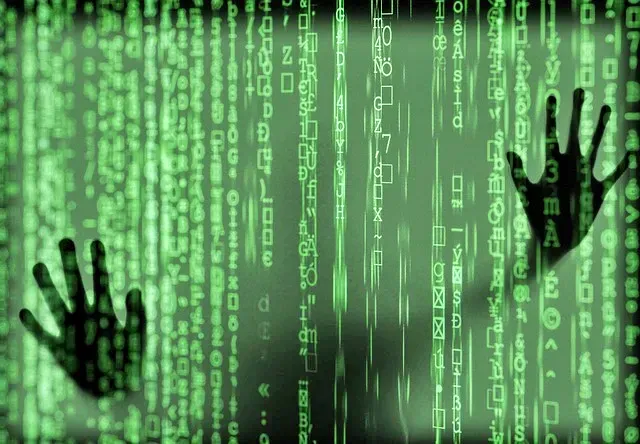 텔레그램&amp;#44; 딥페이크 [겹지방&amp;#44; 겹지인] 문제와 피해 대응 방법&amp;#44; 피해 학교 명단지도