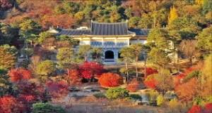 10월 서울근교 가볼만한 곳 베스트