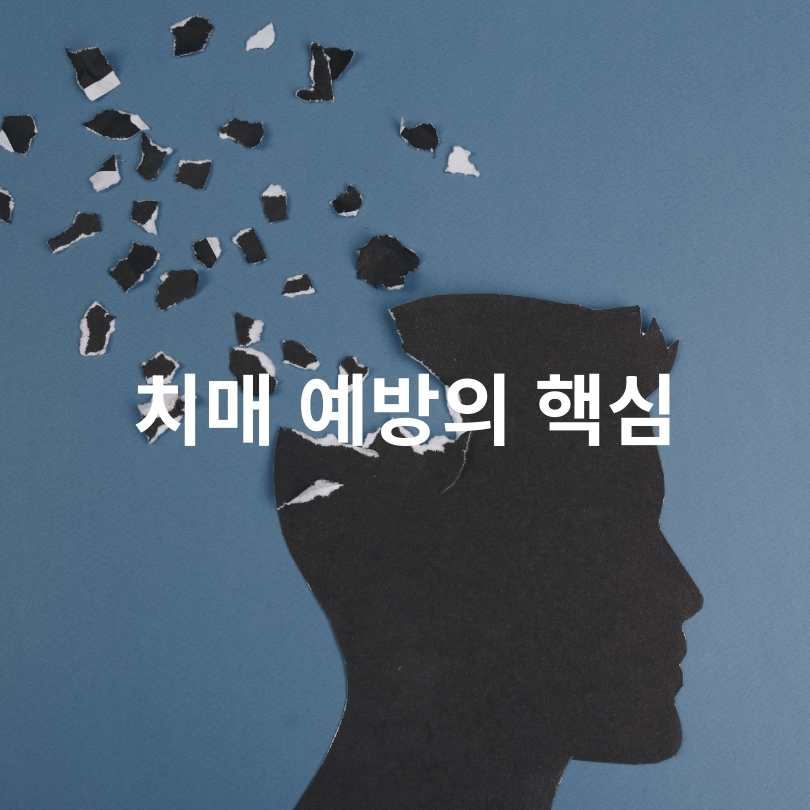 치매 예방 영양제 완전 가이드