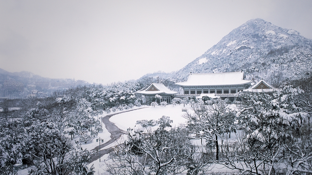 청와대 개방예약 관람신청