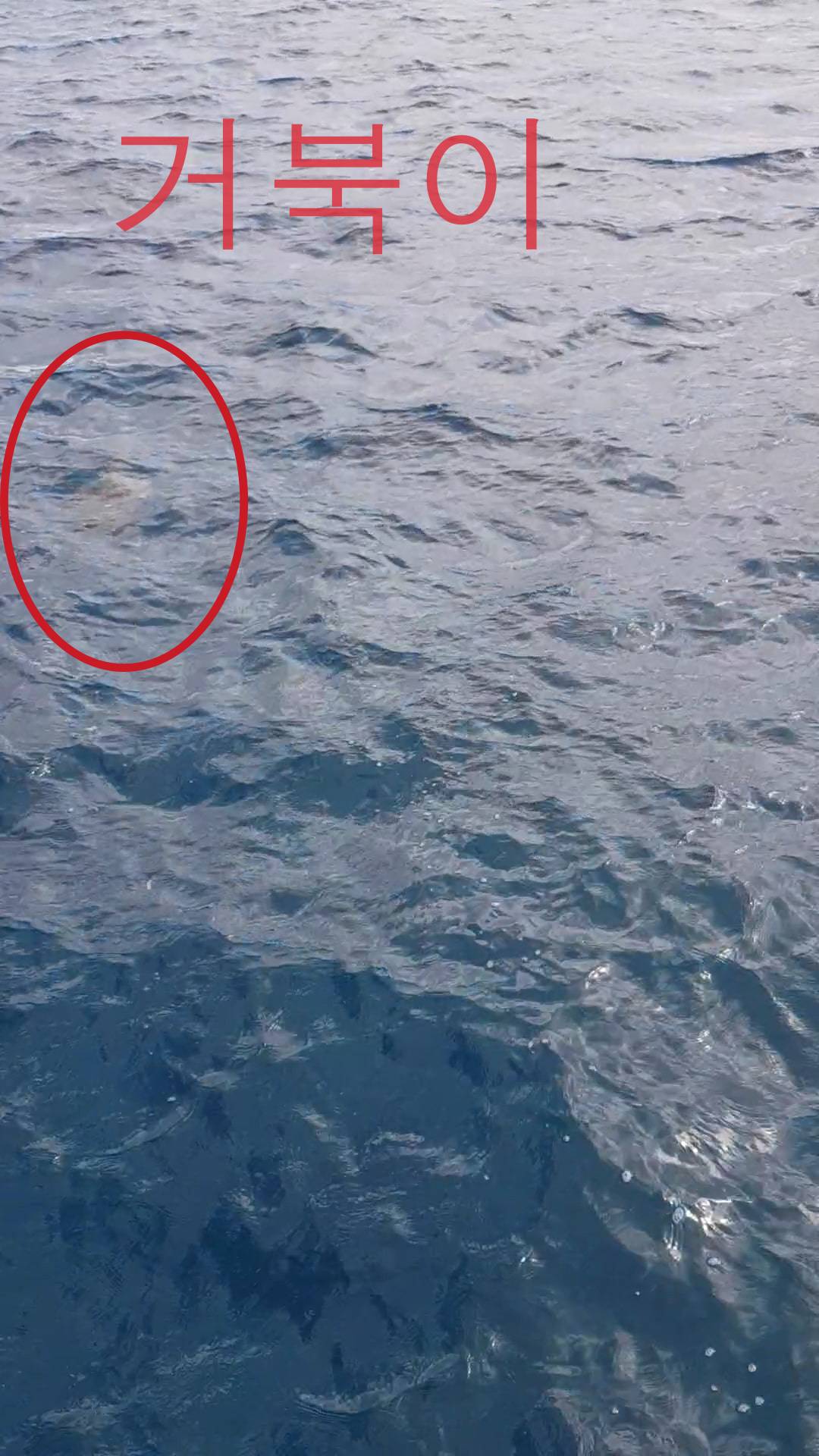 괌 호텔 추천&amp;#44; 관광지 추천