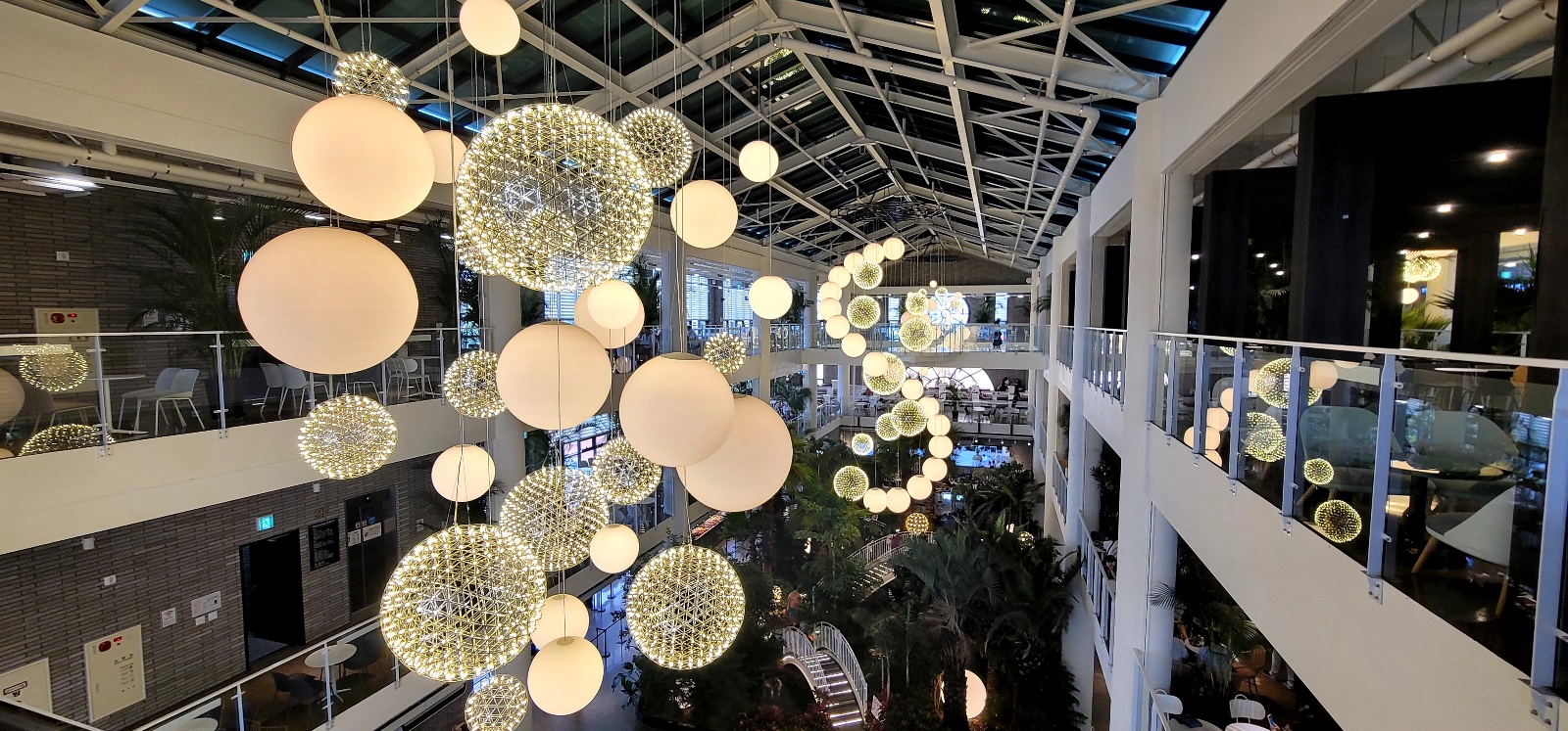 포레스트 아우팅스6