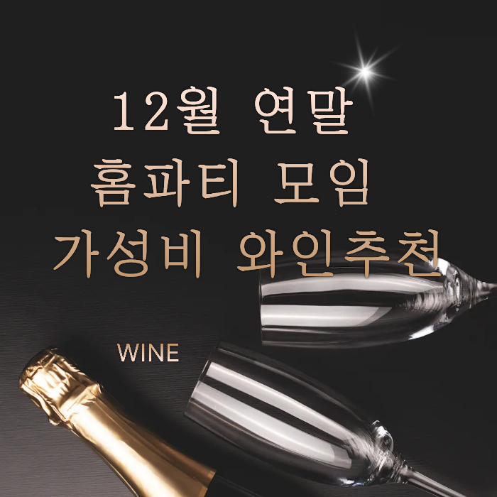 12월 연말 홈파티 모임 가성비 와인 추천