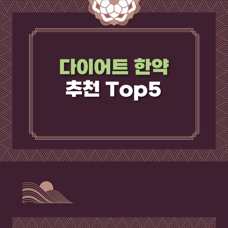 다이어트 한약 추천